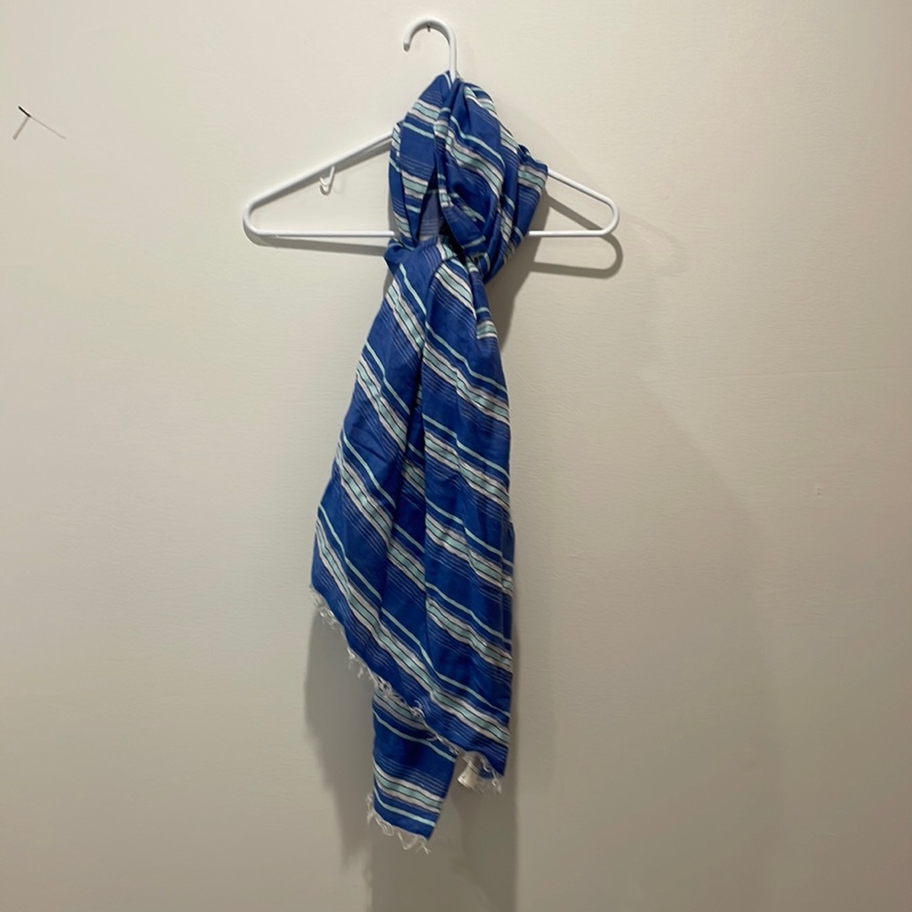 Gap blue stripe scarf